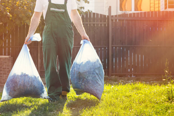 Best Shed Removal  in Logan Elm Village, OH