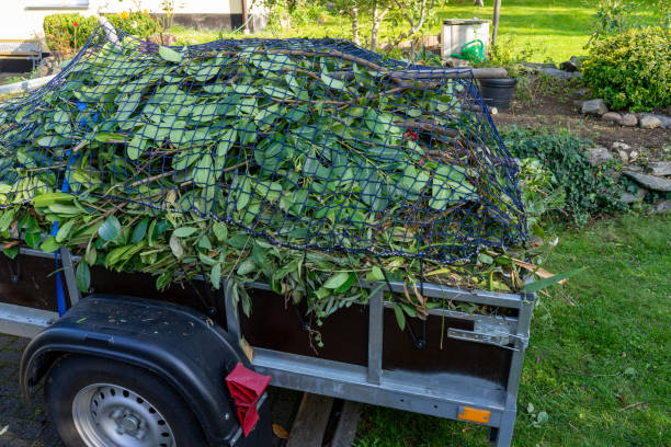 Retail Junk Removal in Logan Elm Village, OH